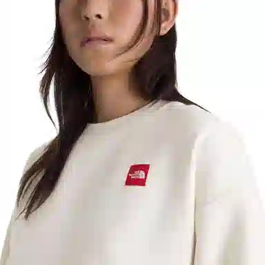 THE NORTH FACE SS25 logoT