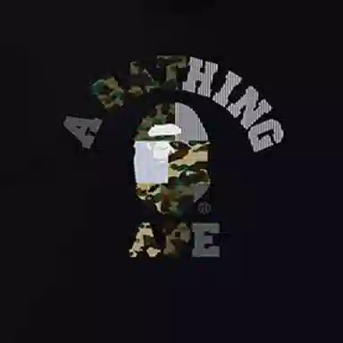 BAPE Military Crazy College Tee