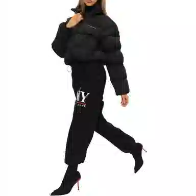 Alexander Wang FW23 Black Down Jacket