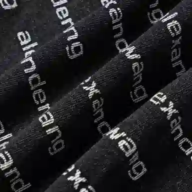 alexander wang FW20 Logo