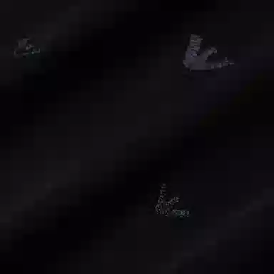 EMPORIO ARMANI SS25 T