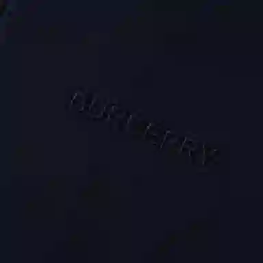 Burberry Hooded Jacket Navy