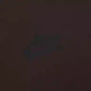 Nike AS W NSW TCH FLC SS TOP Coffee