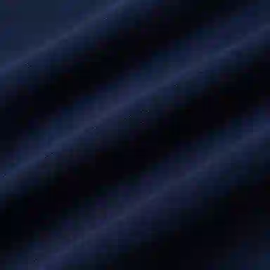 Polo Ralph Lauren Logo