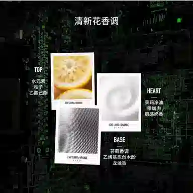 Jiefang Ghost in the Shell EDP