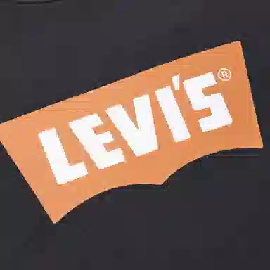 levis T