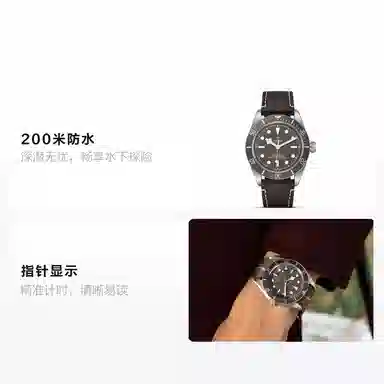 TUDOR 200 925 M79010SG-0001