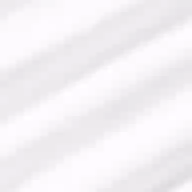 Polo Ralph Lauren SS25 Logo