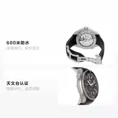 OMEGA 600 43.5mm 215.33.44.21.01.001