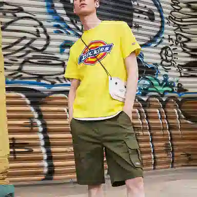 Dickies LogoT