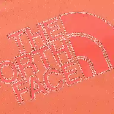THE NORTH FACE LogoT