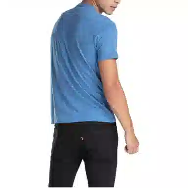 levis T