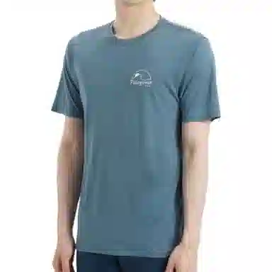 patagonia Capilene Cool Merino Graphic Shirt T