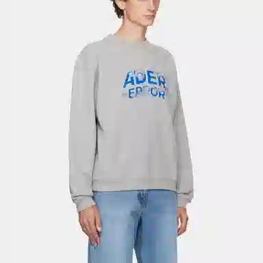 ADER ERROR
