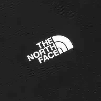 THE NORTH FACE SS25 T