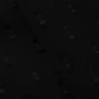 McQ Alexander McQueen