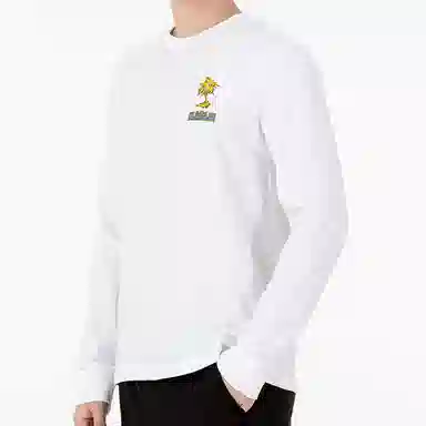 Nike Lebron Sfg T