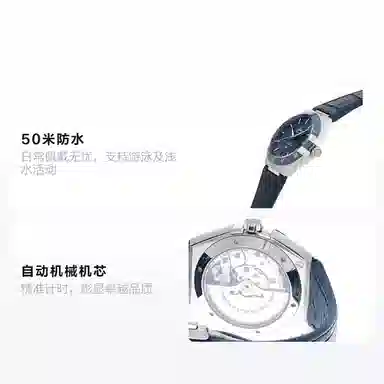 OMEGA 41mm 131.33.41.21.03.001