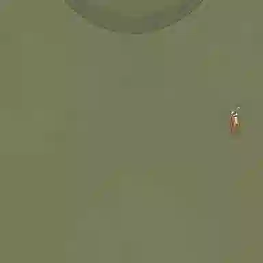 Polo Ralph Lauren LogoT