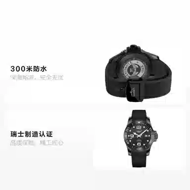 LONGINES 300 43mm L3.784.4.56.9