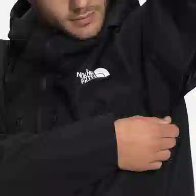 THE NORTH FACE Logo