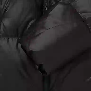 THE NORTH FACE W's Novelty Nuptse Down Jacket