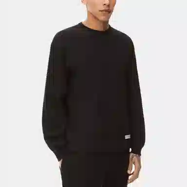 Alexander Wang Pullover Sweatshirt Black