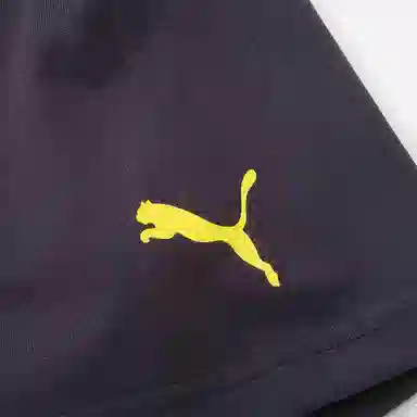 PUMA T