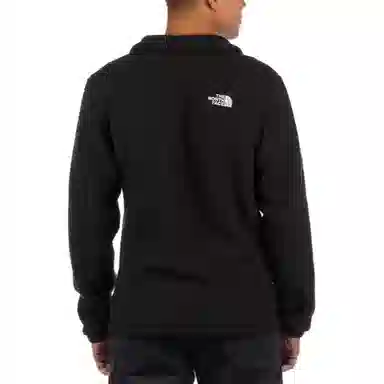 THE NORTH FACE Parkview 14 Snap Fleece