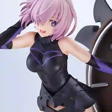GSC conofig fgo shielder