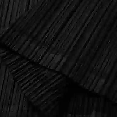 PLEATS PLEASE ISSEY MIYAKE FW22