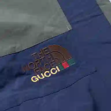 GUCCI x THE NORTH FACE Logo