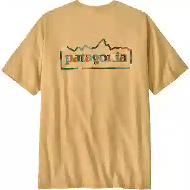 patagonia Unity Fitz Responsibili-Tee T