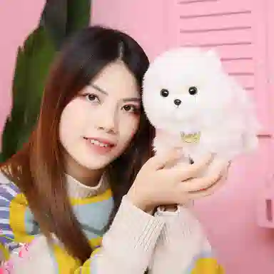 pom 23cm