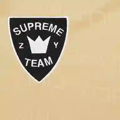 Supreme Zoo York SS25 WEEK17 Soccer Jersey logo