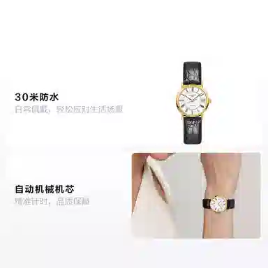 LONGINES 30m 30mm L4.322.2.11.2