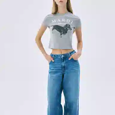MARDI MERCREDI CROPPED TSHIRT DDANJI_GREY WHITE SS25T