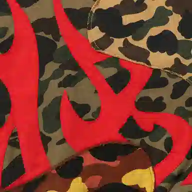 A BATHING APE FW25 FW25