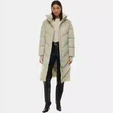 ARITZIA Wilfred Cloud Puff Long