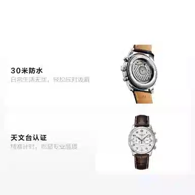 Longines Master Collection L2.629.4.78.3