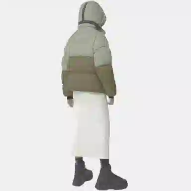 Canada Goose Junction