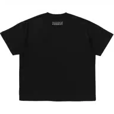 A BATHING APE x mastermind JAPAN FW25 T