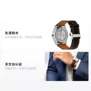 Longines Master Collection L2.909.4.77.3