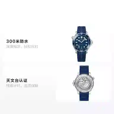 OMEGA Seamaster 210.32.42.20.03.001