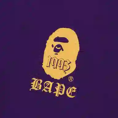 A BATHING APE Hoodie