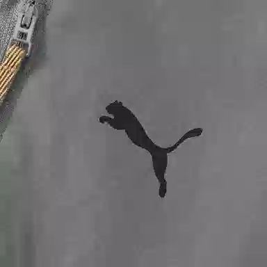 PUMA DESERT ROAD T -62