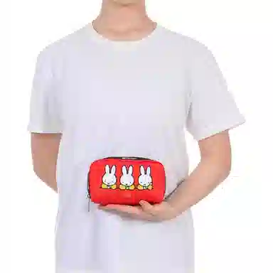 LeSportsac DICKBRUNA