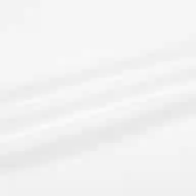 Puma x Mr Doodle Polo