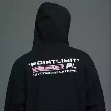 POINTLIMIT Logo