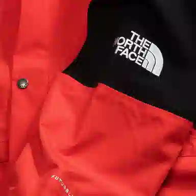 The North Face 1994 Retro Mountain Futurelight